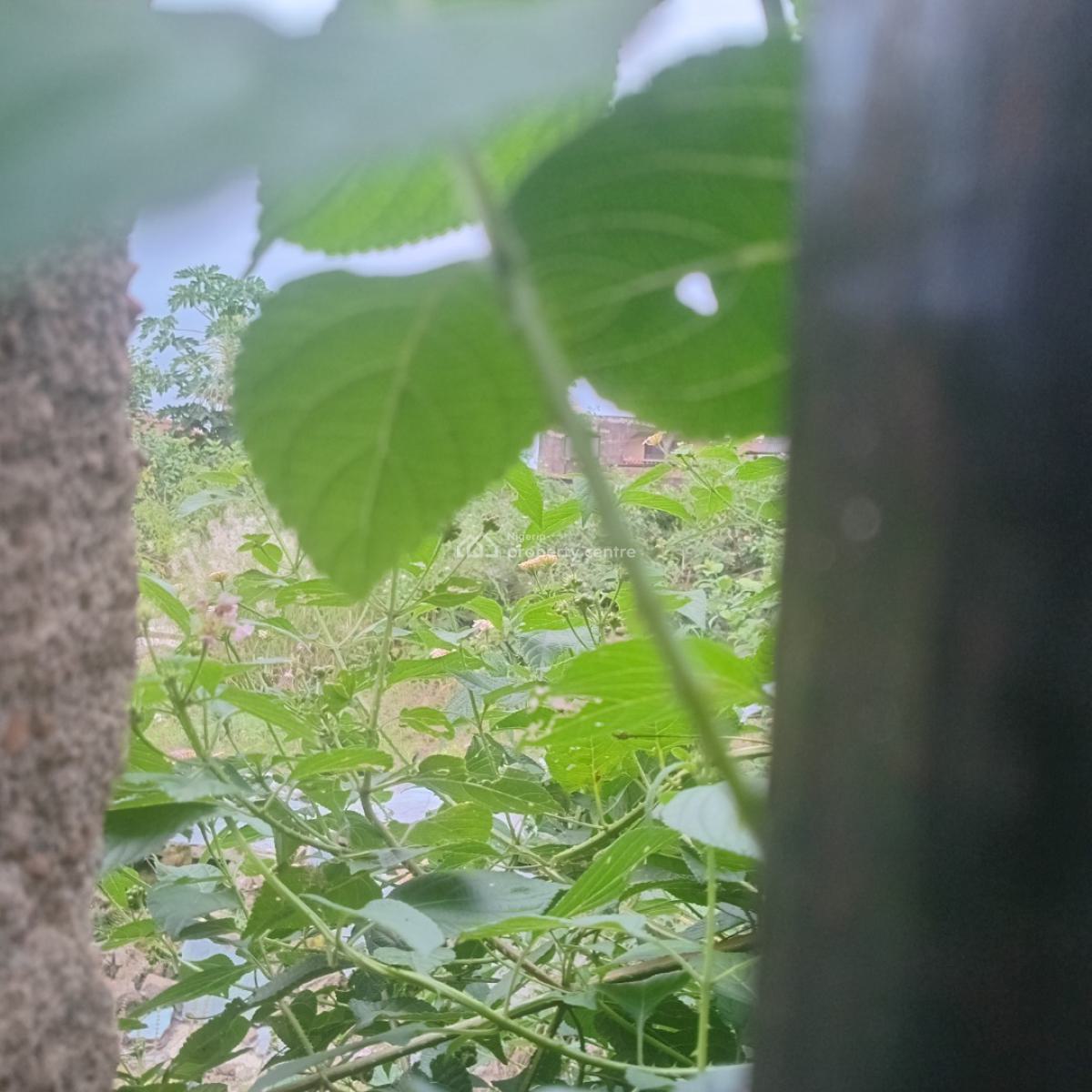 a Prime Land Measuring 480 Square Meters in a Nice Location, Paul Avenue, Yakoyo Area, Ojodu Berger, Ojodu, Lagos, Mixed-use Land for Sale