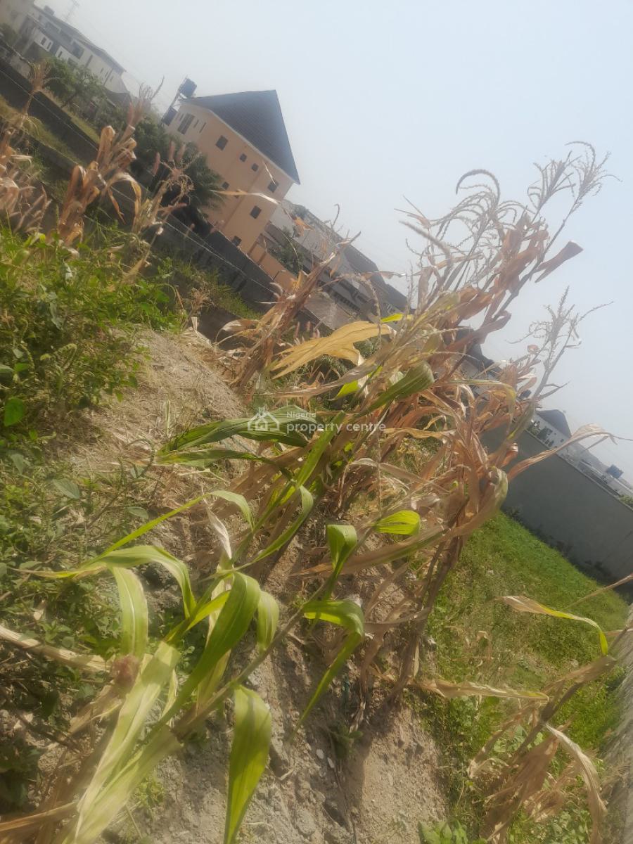 Liveable and Buildable Land of 600sqm on a Tarred Road, Fo1 Layout, Kubwa, Abuja, Residential Land for Sale