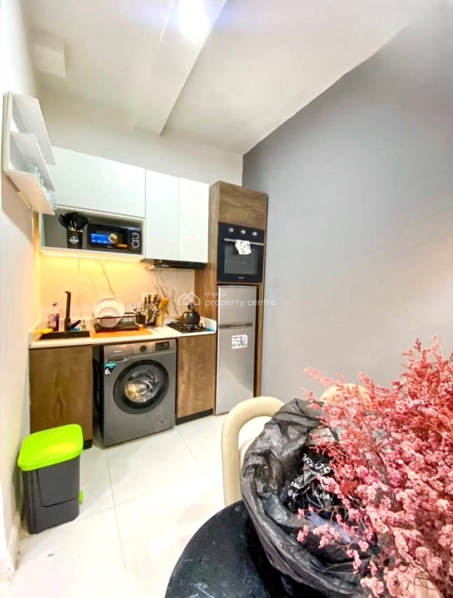 Luxurious and Tastefully Furnished 1 Bedroom Apartment with Elevator, Lekki Phase 1, Lekki, Lagos, Mini Flat (room and Parlour) for Rent