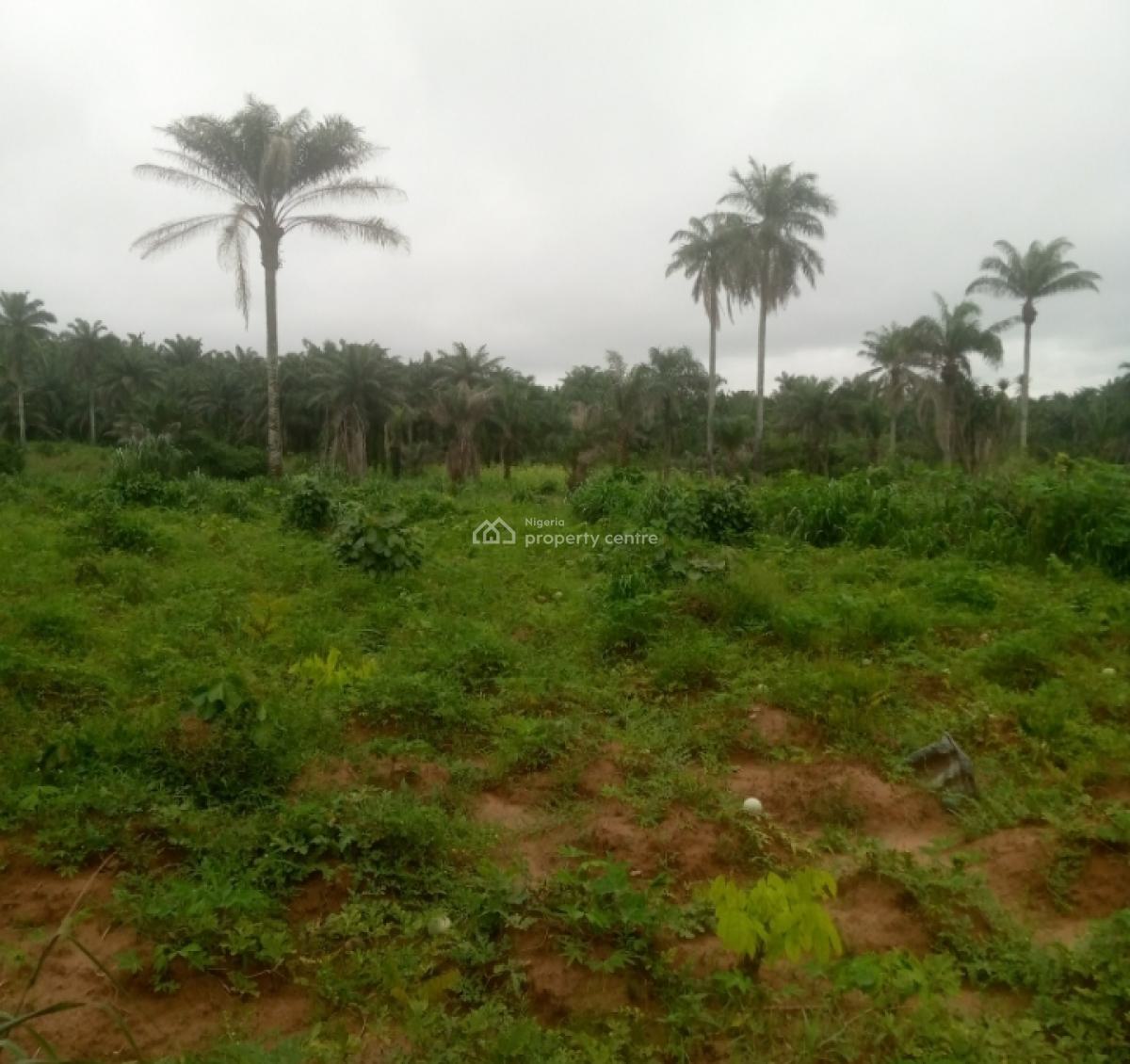 Cheap / Affordable Lands (best Deals), Akpaa Ovum Ogbor Hills, Aba, Abia, Mixed-use Land for Sale