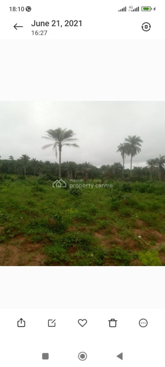 Cheap / Affordable Lands (best Deals), Akpaa Ovum Ogbor Hills, Aba, Abia, Mixed-use Land for Sale