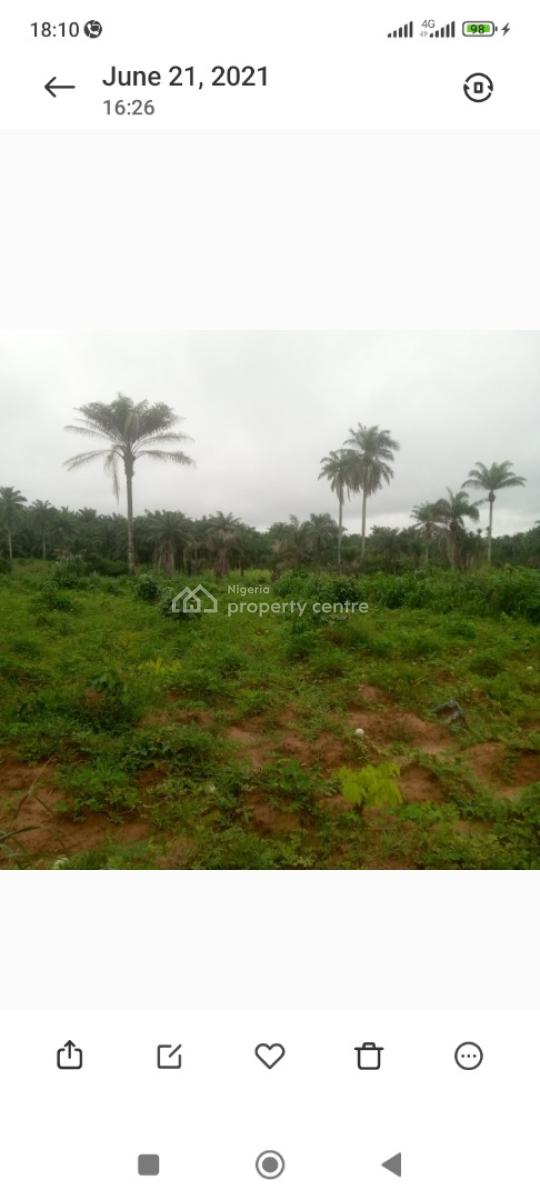 Cheap / Affordable Lands (best Deals), Akpaa Ovum Ogbor Hills, Aba, Abia, Mixed-use Land for Sale