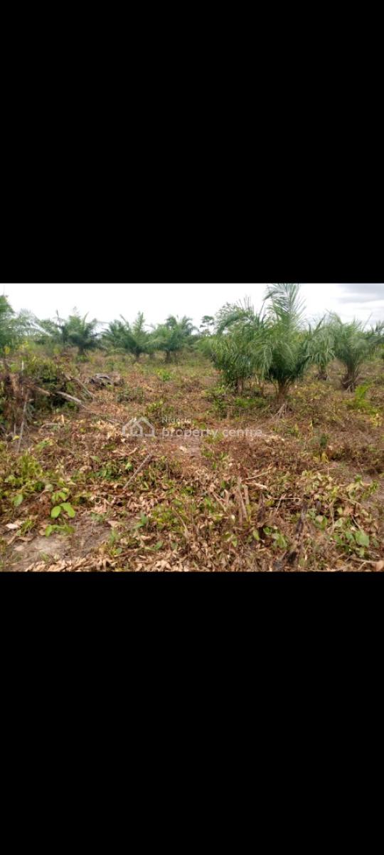 Land with Allocation and Verifiable Documents, Ilara, Epe, Lagos, Mixed-use Land for Sale