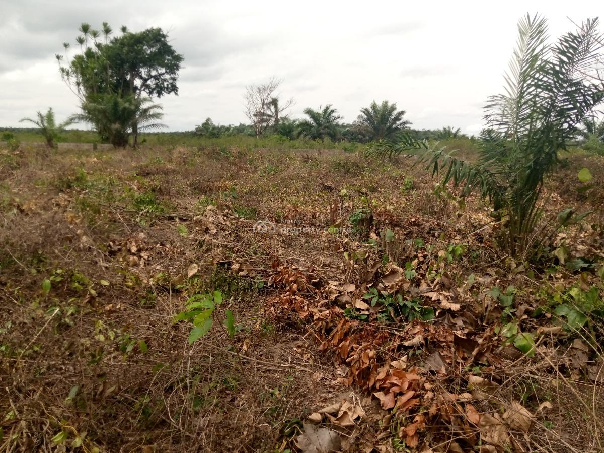 Land with Allocation and Verifiable Documents, Ilara, Epe, Lagos, Mixed-use Land for Sale