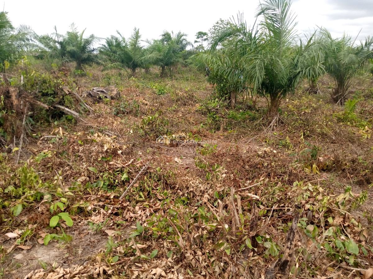 Land with Allocation and Verifiable Documents, Ilara, Epe, Lagos, Mixed-use Land for Sale