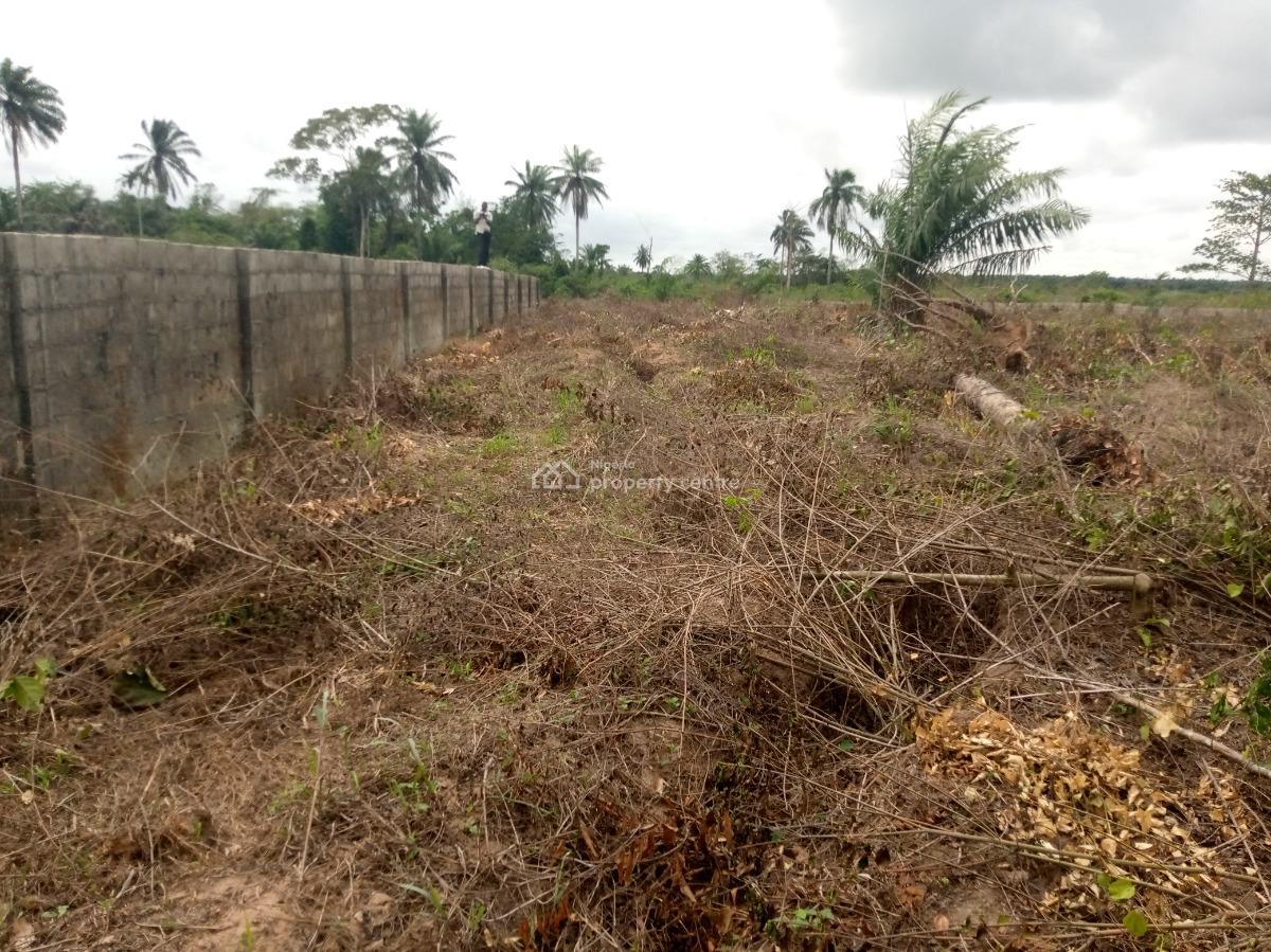 Land with Allocation and Verifiable Documents, Ilara, Epe, Lagos, Mixed-use Land for Sale