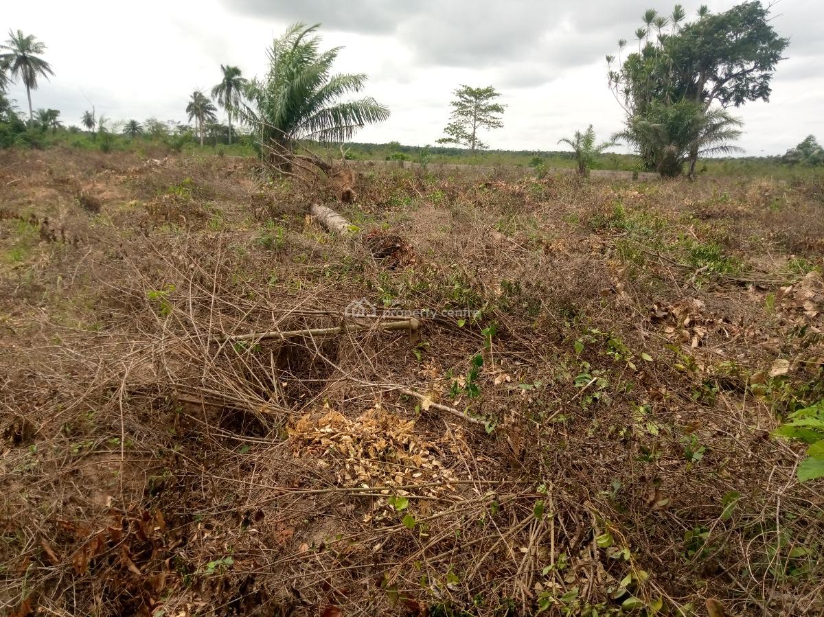 Land with Allocation and Verifiable Documents, Ilara, Epe, Lagos, Mixed-use Land for Sale