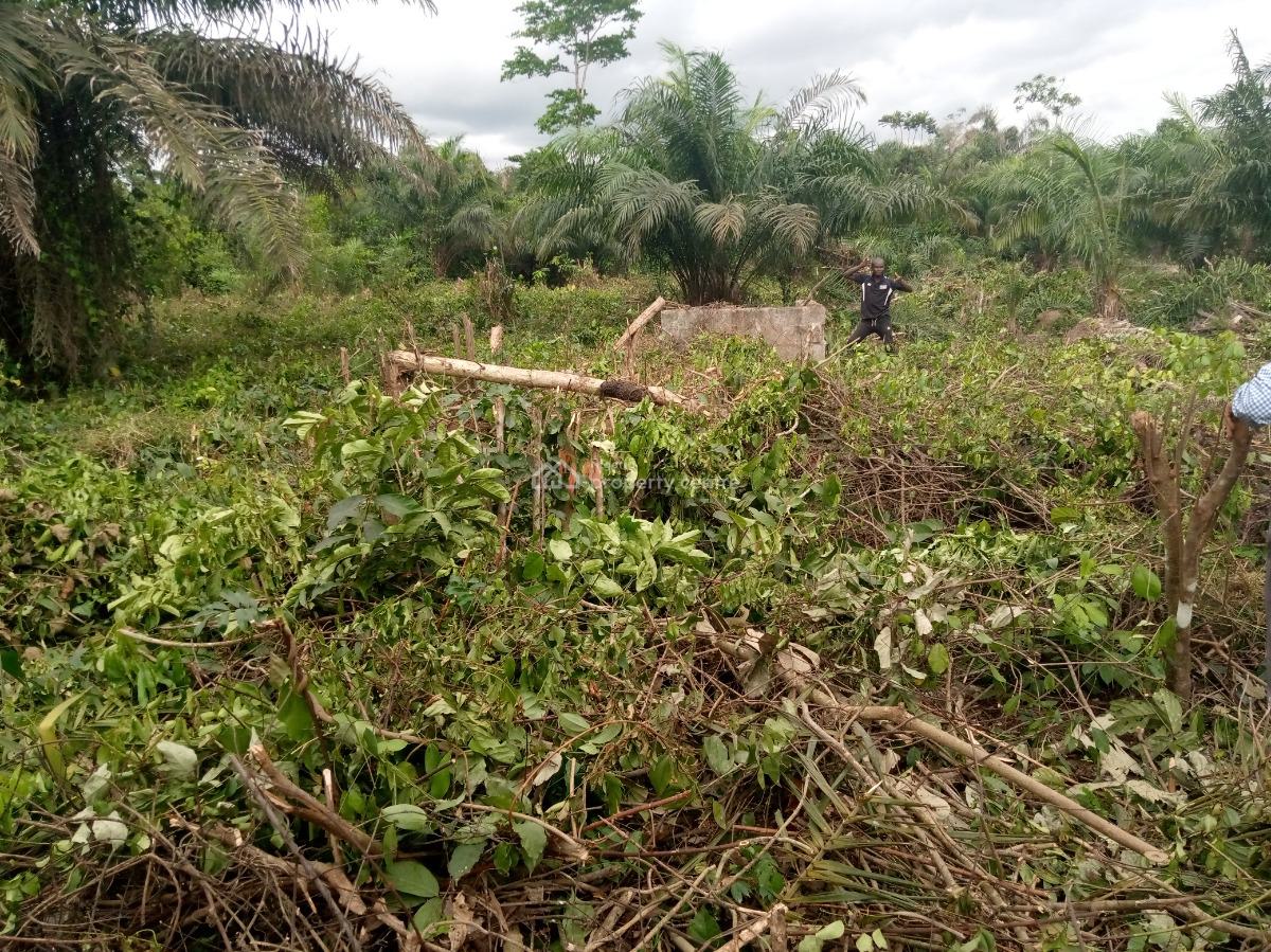 Land with Allocation and Verifiable Documents, Ilara, Epe, Lagos, Mixed-use Land for Sale