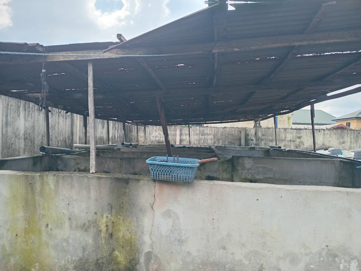 Standard Five (5) Bedroom Bungalow with Fish Pond Structure, Woji, Port Harcourt, Rivers, Detached Bungalow for Sale