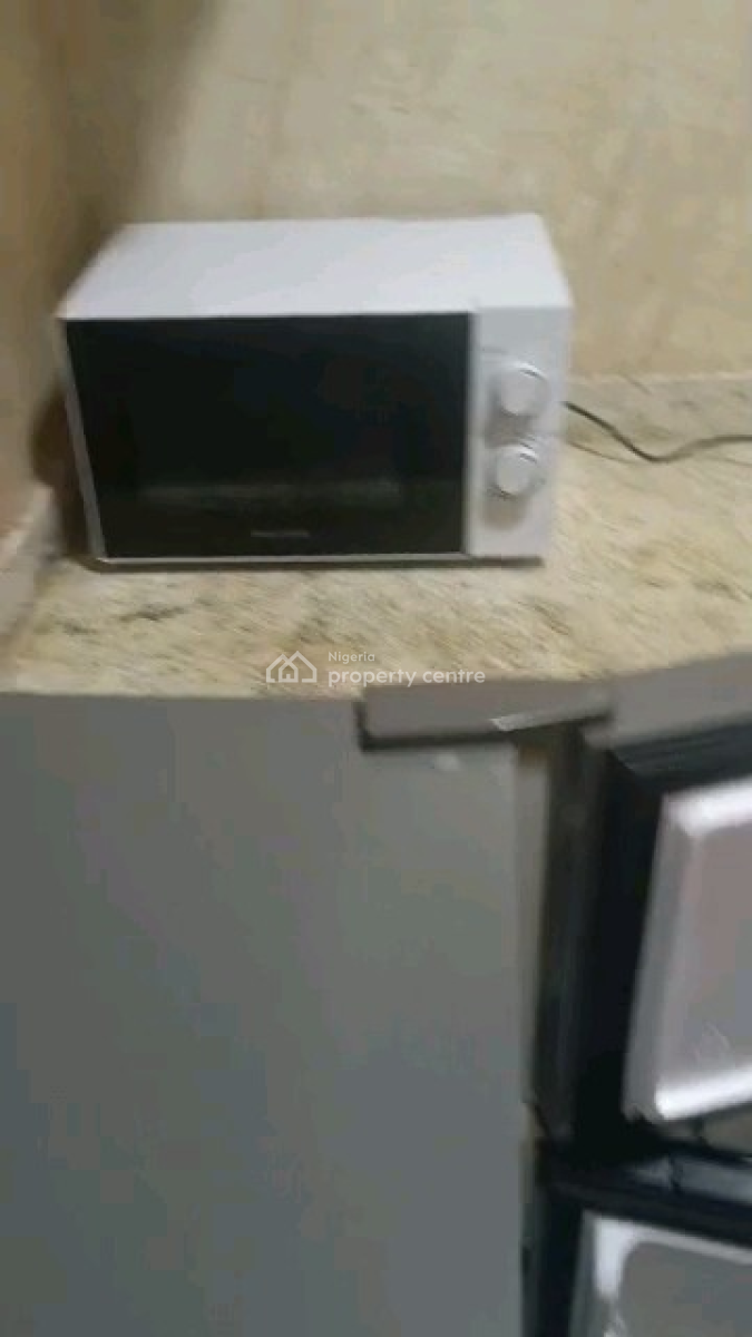 Luxurious Furnished 1-bedroom Apartment, Naf Valley, Asokoro District, Abuja, Mini Flat (room and Parlour) for Rent