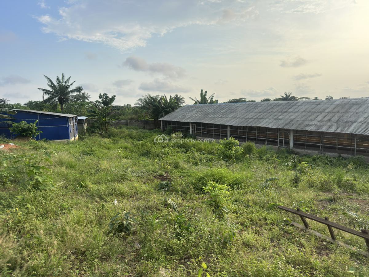 Poultry and Pig Farm in Epe, Behind Lasued Noforija, Epe, Lagos, Commercial Property for Sale