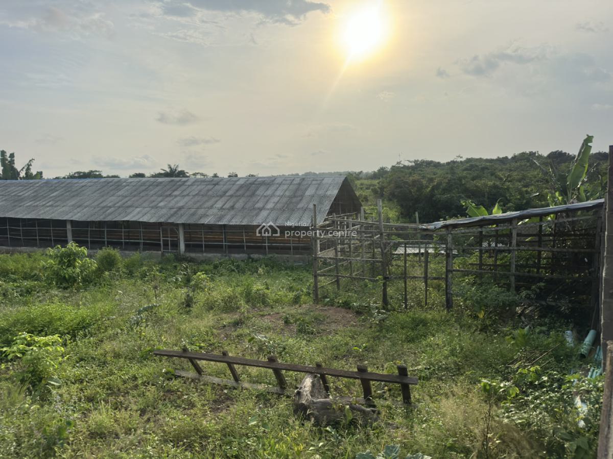 Poultry and Pig Farm in Epe, Behind Lasued Noforija, Epe, Lagos, Commercial Property for Sale