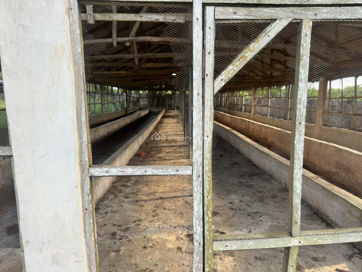 Poultry and Pig Farm in Epe, Behind Lasued Noforija, Epe, Lagos, Commercial Property for Sale