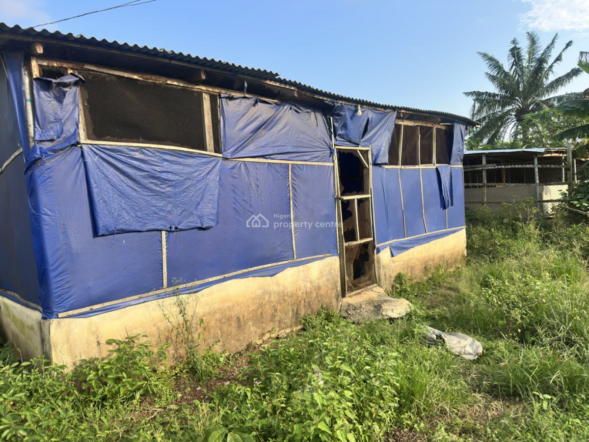 Poultry and Pig Farm in Epe, Behind Lasued Noforija, Epe, Lagos, Commercial Property for Sale