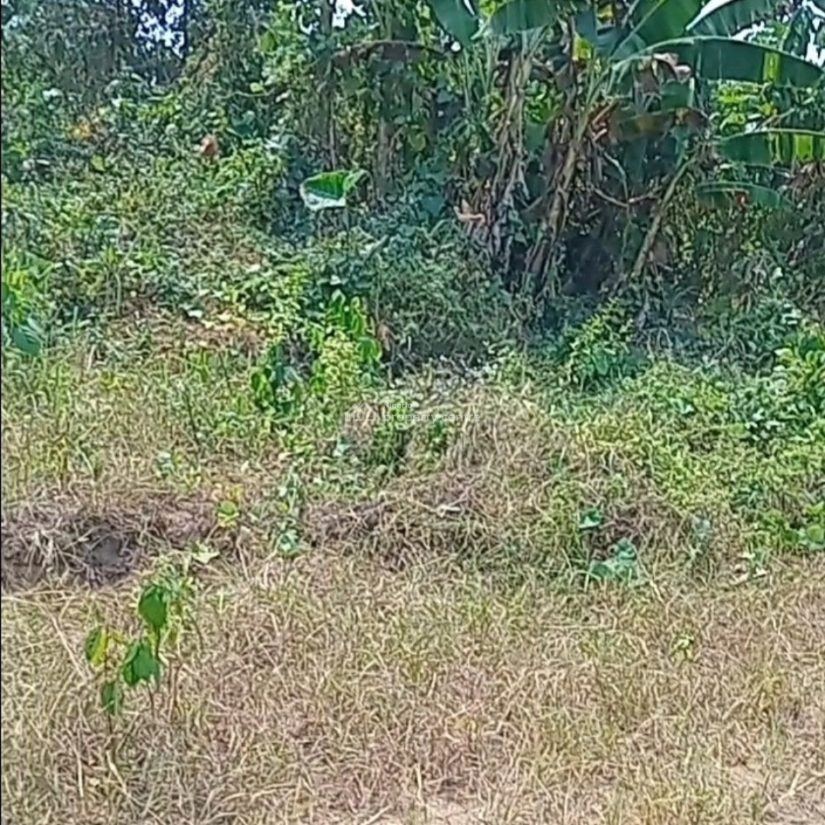 Premium Land 465sqm-elite Court, Atali, Eneka, Port Harcourt, Rivers, Residential Land for Sale