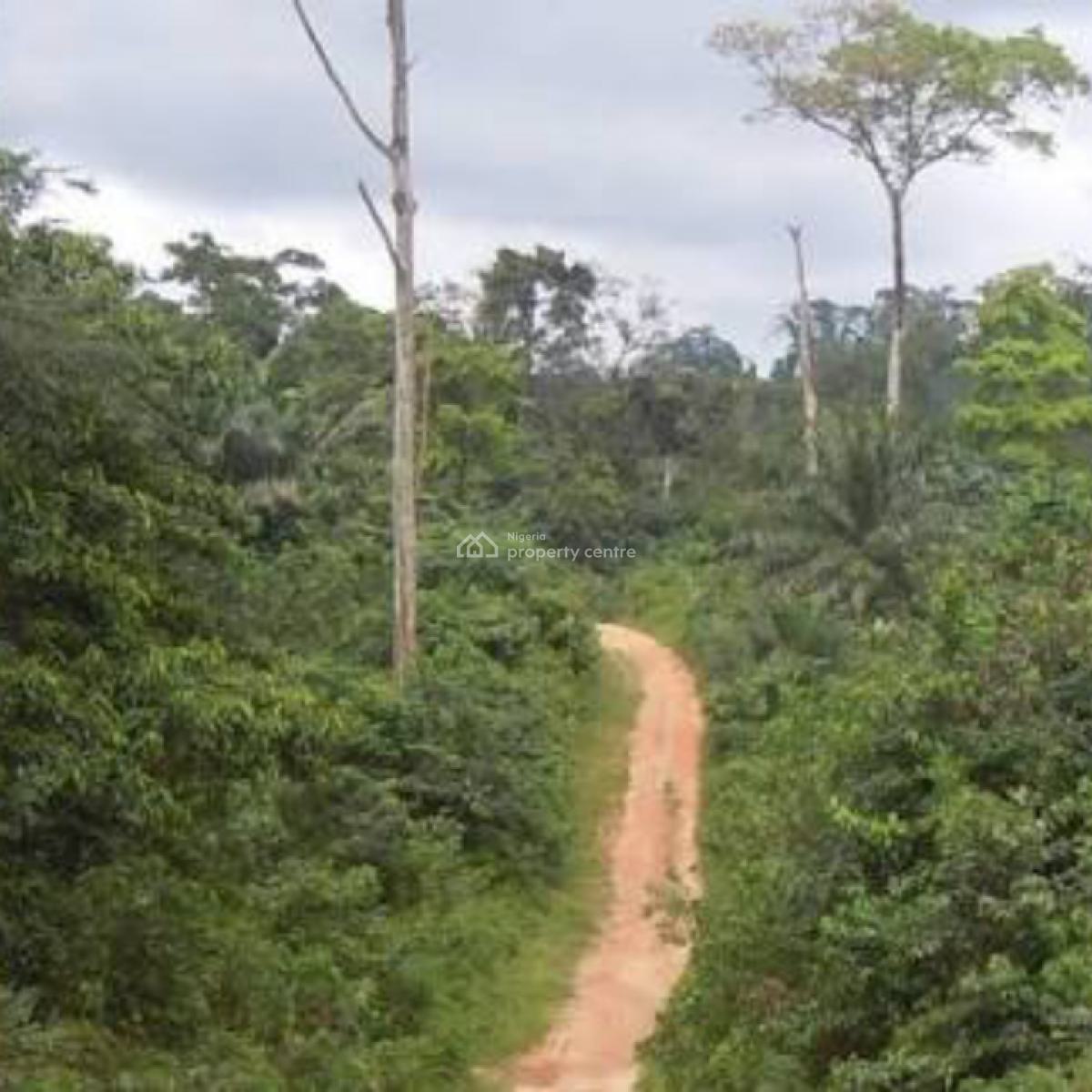 100 Hectares of Land, Owo, Owo, Ondo, Land for Sale