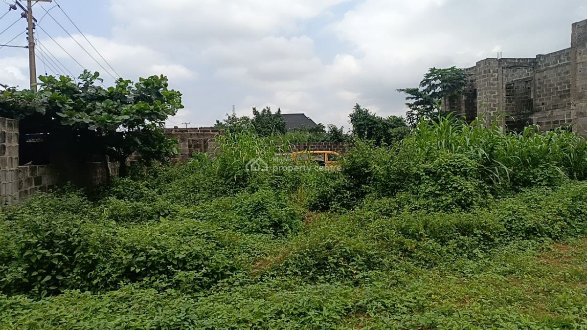 4acres of Virgin Dry Land at Gudugba Facing Abeokuta Express Road, Gudugba B/stop,along Abeokuta Expressway, Ifo, Ogun, Mixed-use Land for Sale