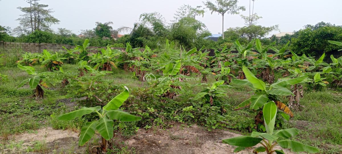 Fenced & Gated 4 Plots of Land Facing Expressway, Beside Mountain Top University, Lagos Ibadan Expressway, Kara, Ibafo, Ogun, Commercial Land for Sale