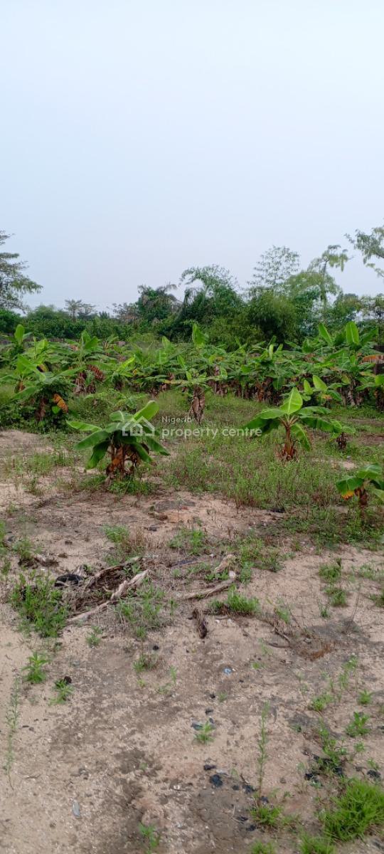 Fenced & Gated 4 Plots of Land Facing Expressway, Beside Mountain Top University, Lagos Ibadan Expressway, Kara, Ibafo, Ogun, Commercial Land for Sale