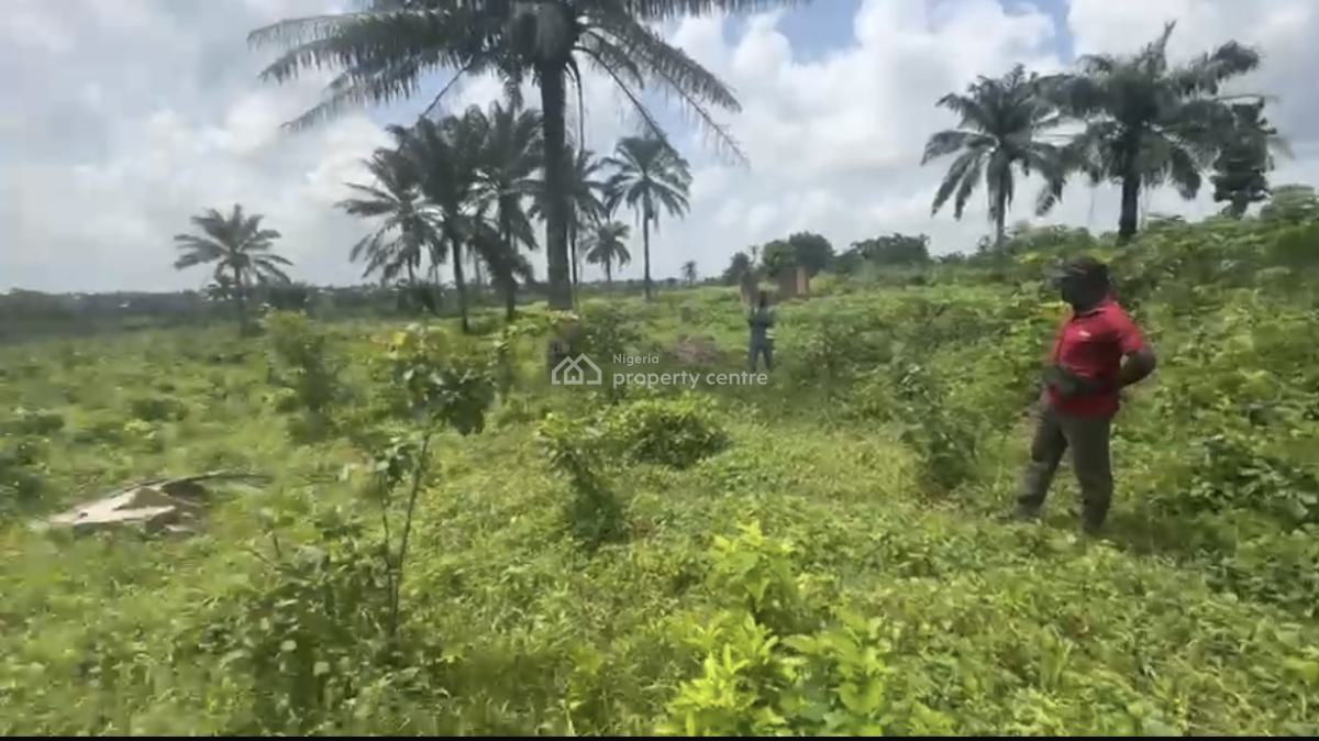 Plot of Land, Eleso, Ibadan Abeokuta Road, Omi Adio, Apata, Ibadan, Oyo, Mixed-use Land for Sale