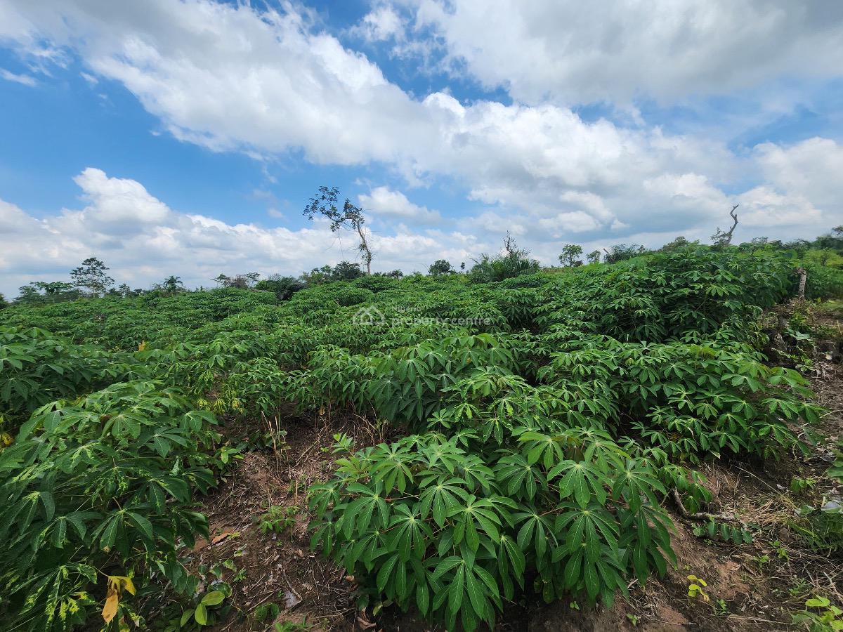 Invest in Farmland, Relax, and Get Paid Yearly, Funnab, Abeokuta South, Ogun, Mixed-use Land for Sale