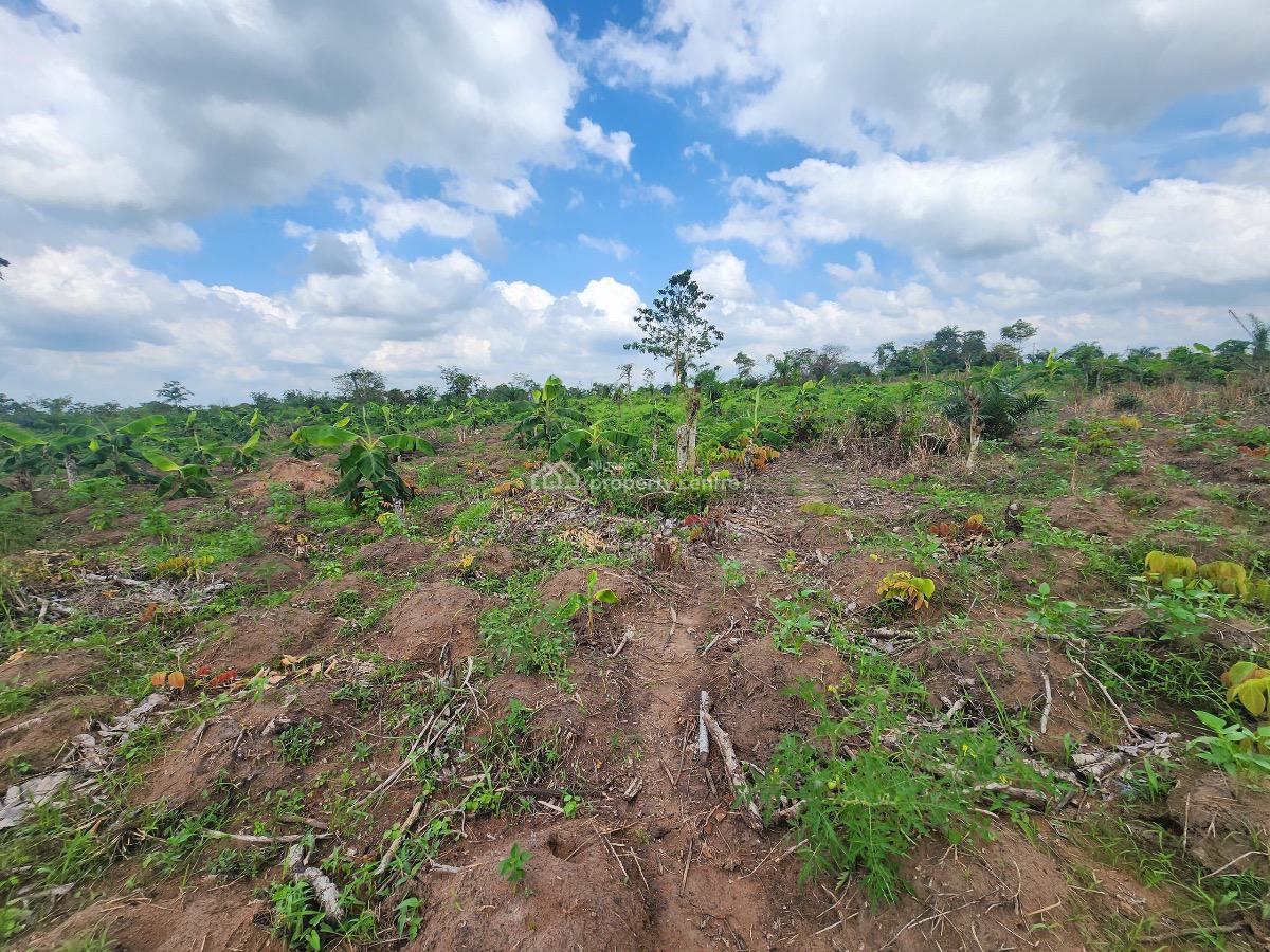 Invest in Farmland, Relax, and Get Paid Yearly, Funnab, Abeokuta South, Ogun, Mixed-use Land for Sale