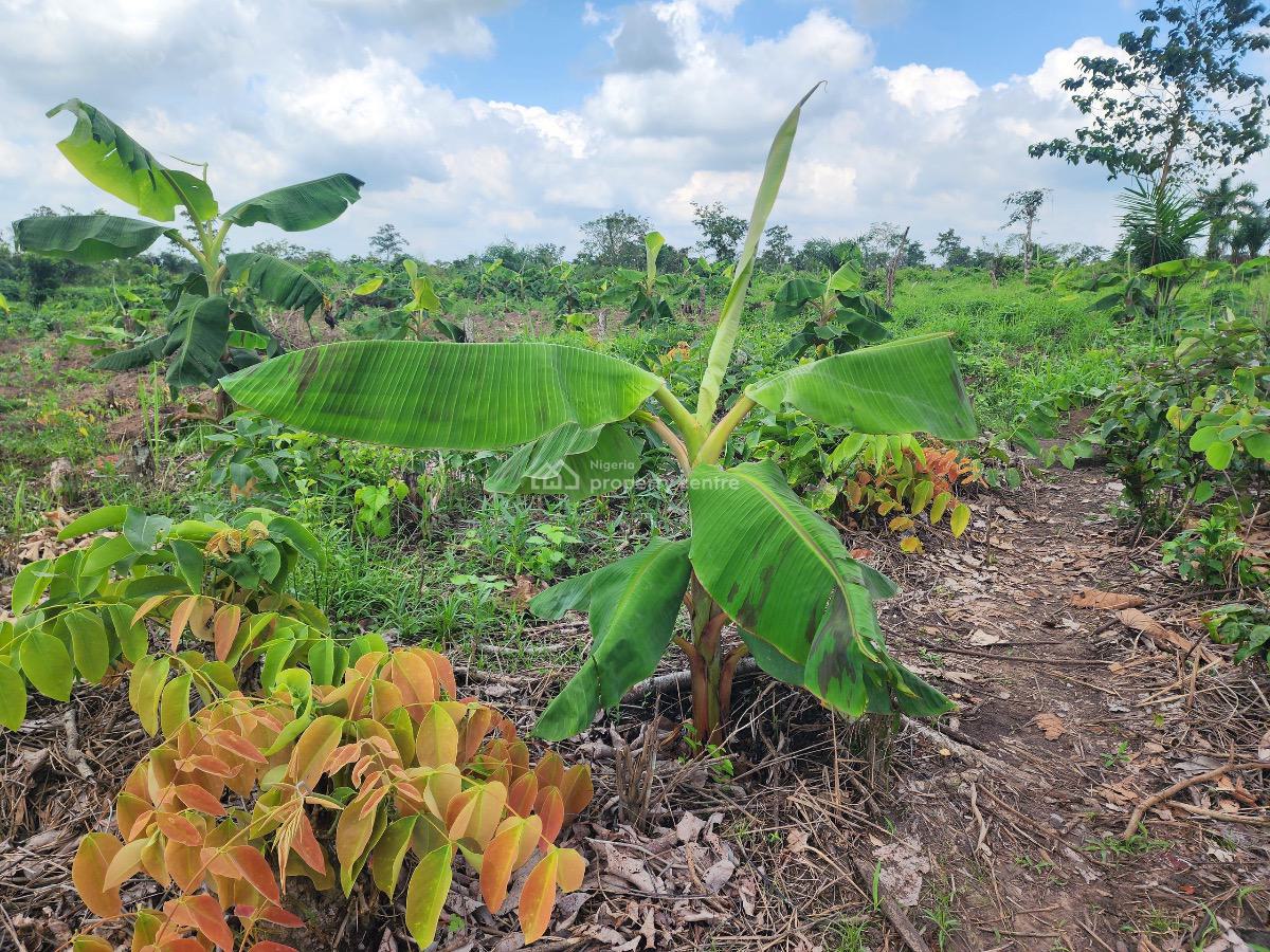 Invest in Farmland, Relax, and Get Paid Yearly, Funnab, Abeokuta South, Ogun, Mixed-use Land for Sale