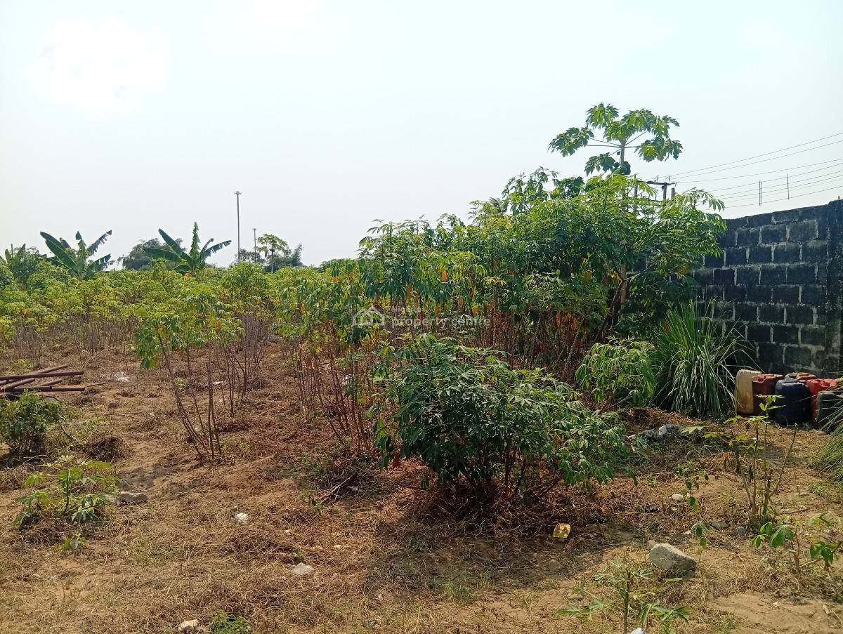 Prime 5000 Sqmt of Dry Land, By Green Spring School, Awoyaya, Ibeju Lekki, Lagos, Mixed-use Land for Sale