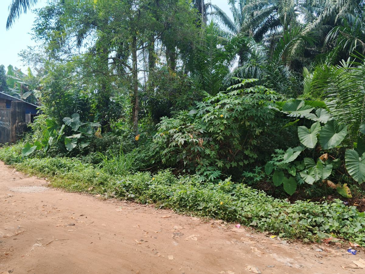 1600 Sq Mts Communal Land, Isu Umunnakwa Village, Oba, Idemili, Anambra, Residential Land for Sale