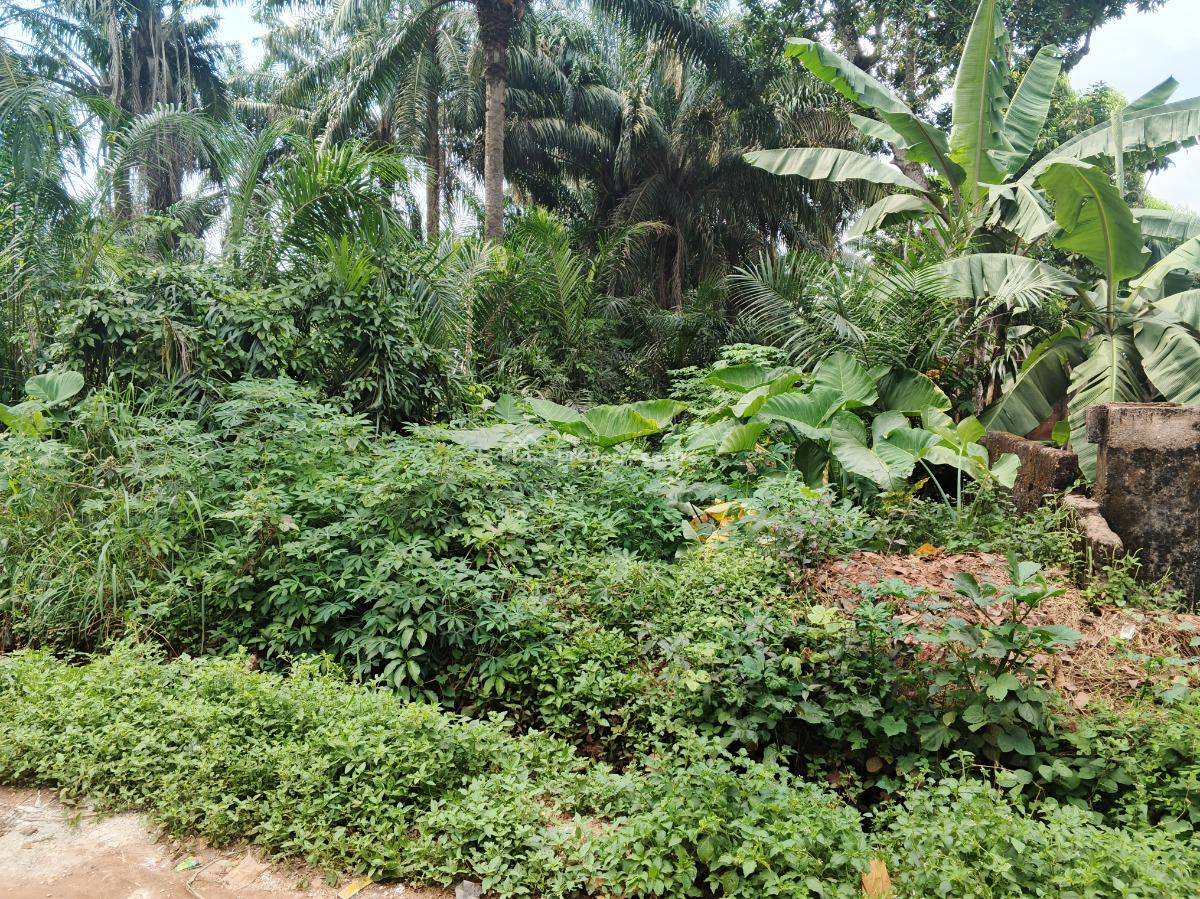 1600 Sq Mts Communal Land, Isu Umunnakwa Village, Oba, Idemili, Anambra, Residential Land for Sale
