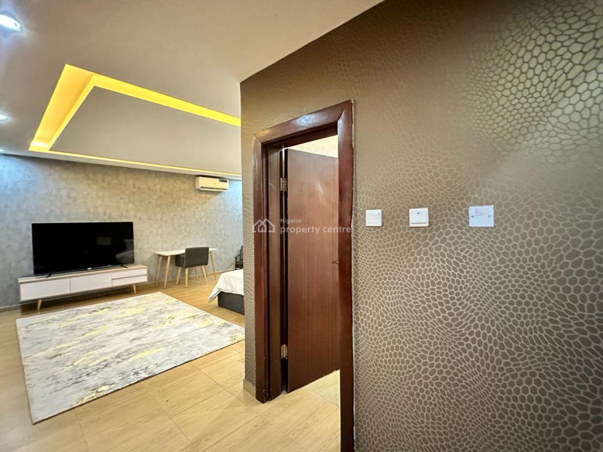 Exquisite Five Bedrooms, Fully Furnished Detached Duplex, Wuse 2, Abuja, Detached Duplex for Rent