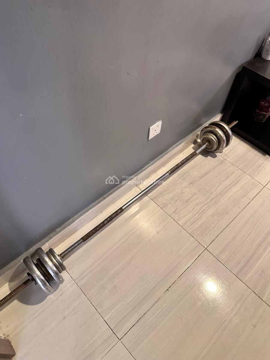 Luxury and Fully Furnished 2 Bedrooms Apartments, Chevron, Lekki, Lagos, Flat / Apartment for Rent