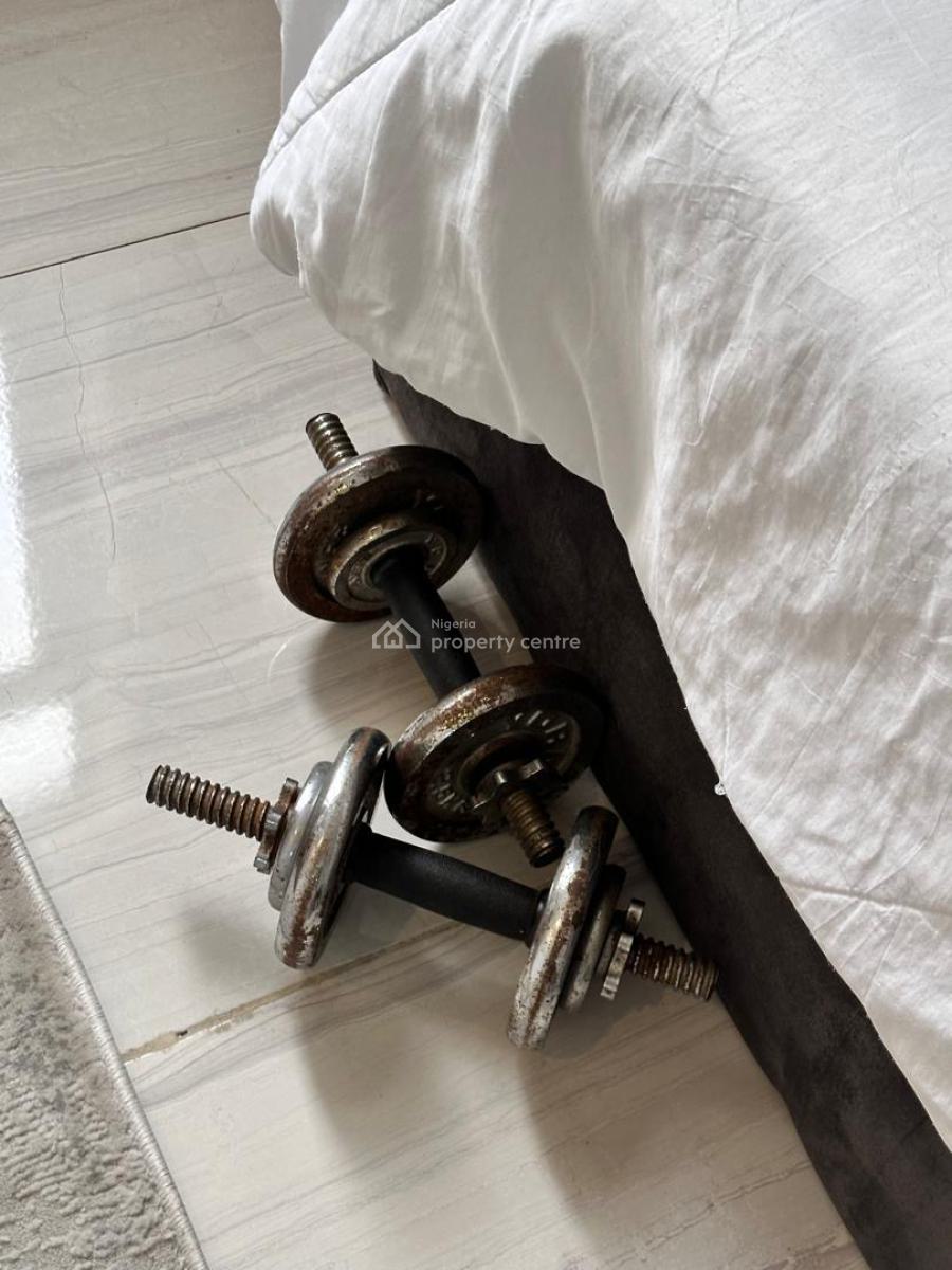 Luxury 2bedroom Apartment, Chevron Alternativ, Lekki, Lagos, Flat / Apartment for Rent