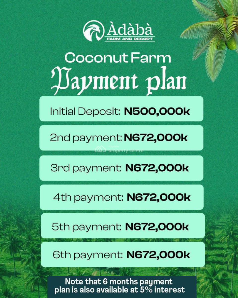 The Arrival of  First Highbrid Coconut Farm, Owode, Obafemi Owode, Ogun, Owode, Obafemi Owode, Ogun, Commercial Land for Sale