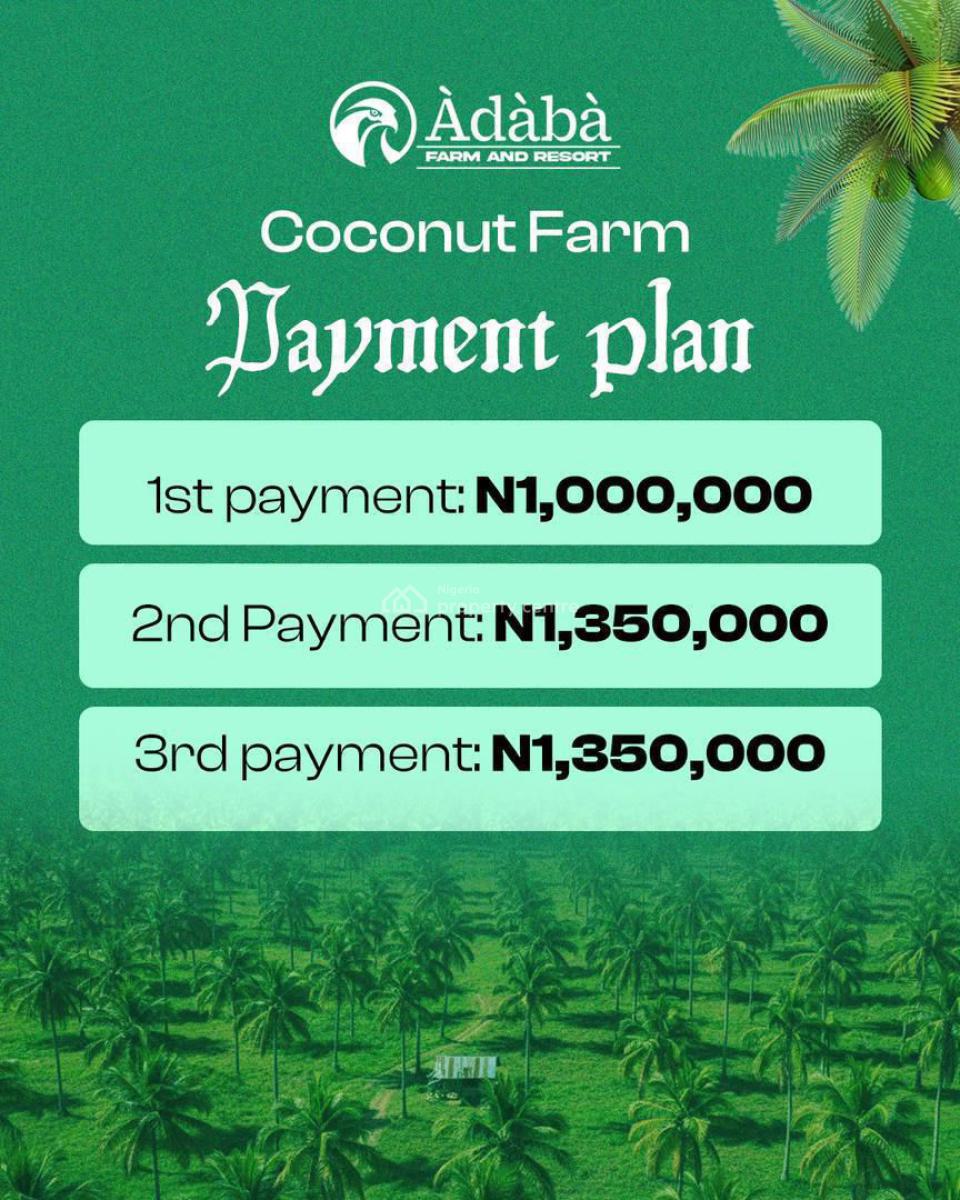 The Arrival of  First Highbrid Coconut Farm, Owode, Obafemi Owode, Ogun, Owode, Obafemi Owode, Ogun, Commercial Land for Sale