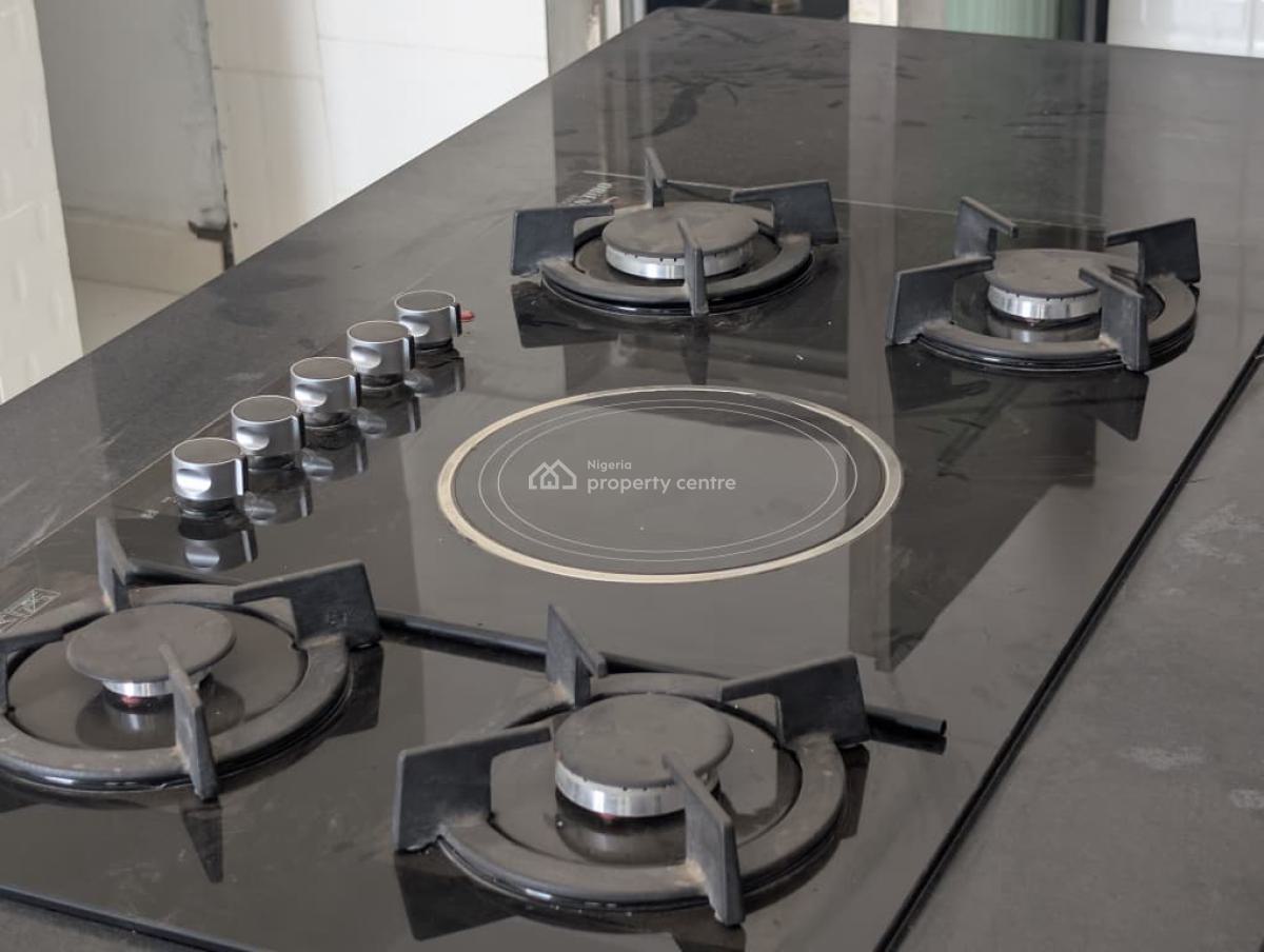 Newly Built 4 Bedroom Semi Detached Duplex with Bq, Apo, Abuja, Semi-detached Duplex for Rent