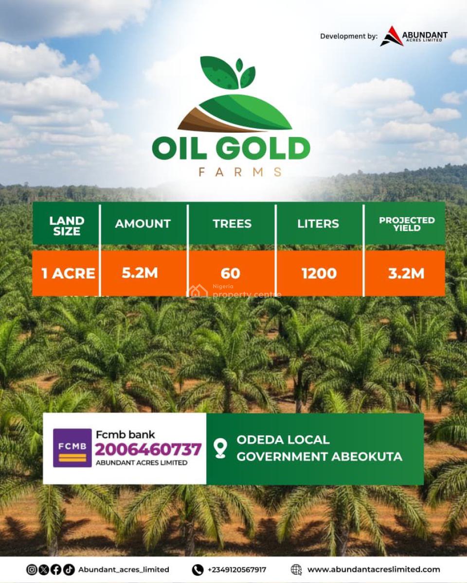 Make Huge Annual Return By Owning an Affordable Oil Gold Farm Land, Most Affordable Farm Land in Odera Local Government, Abeokuta, Abeokuta North, Ogun, Industrial Land for Sale
