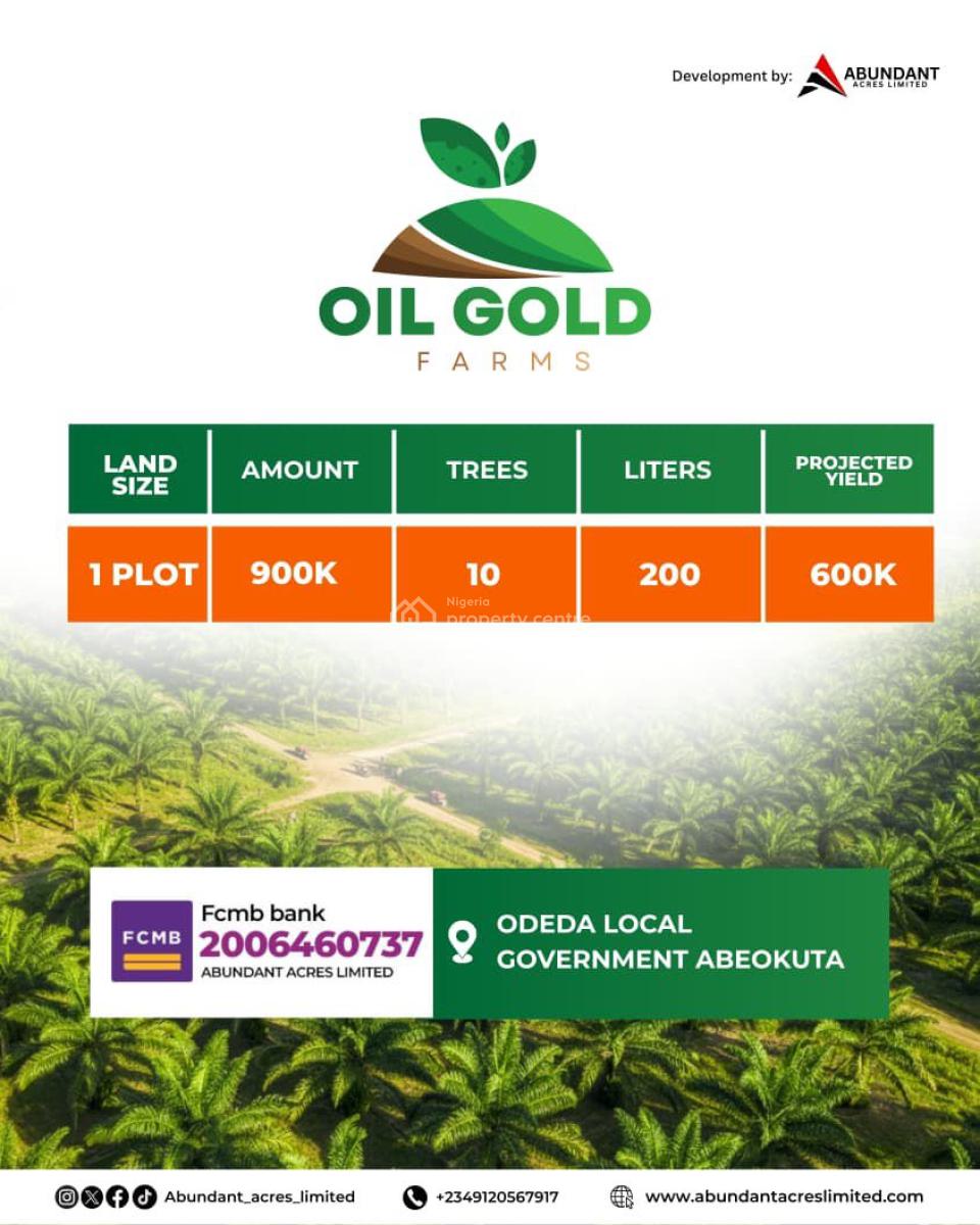 Make Huge Annual Return By Owning an Affordable Oil Gold Farm Land, Most Affordable Farm Land in Odera Local Government, Abeokuta, Abeokuta North, Ogun, Industrial Land for Sale