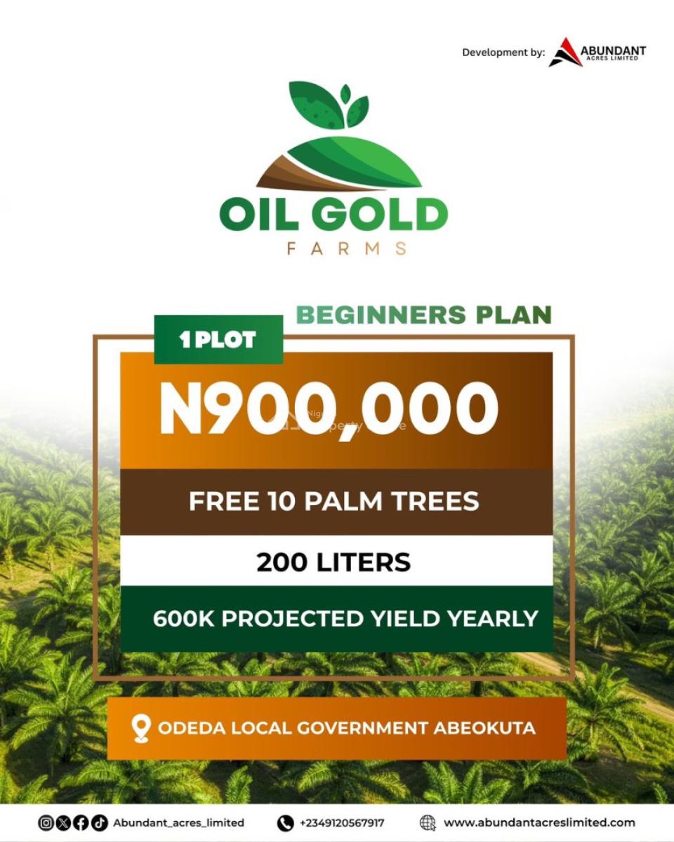 Make Huge Annual Return By Owning an Affordable Oil Gold Farm Land, Most Affordable Farm Land in Odera Local Government, Abeokuta, Abeokuta North, Ogun, Industrial Land for Sale