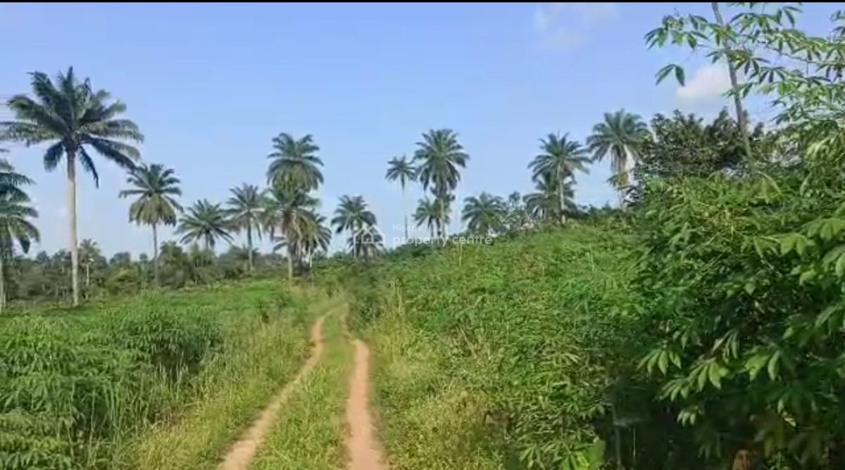 Agricultural Land, Peace Farm Estate, Owode, Obafemi Owode, Ogun, Commercial Land for Sale