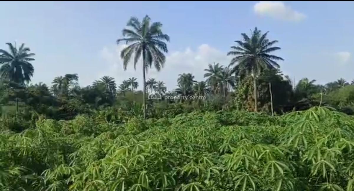 Agricultural Land, Peace Farm Estate, Owode, Obafemi Owode, Ogun, Commercial Land for Sale