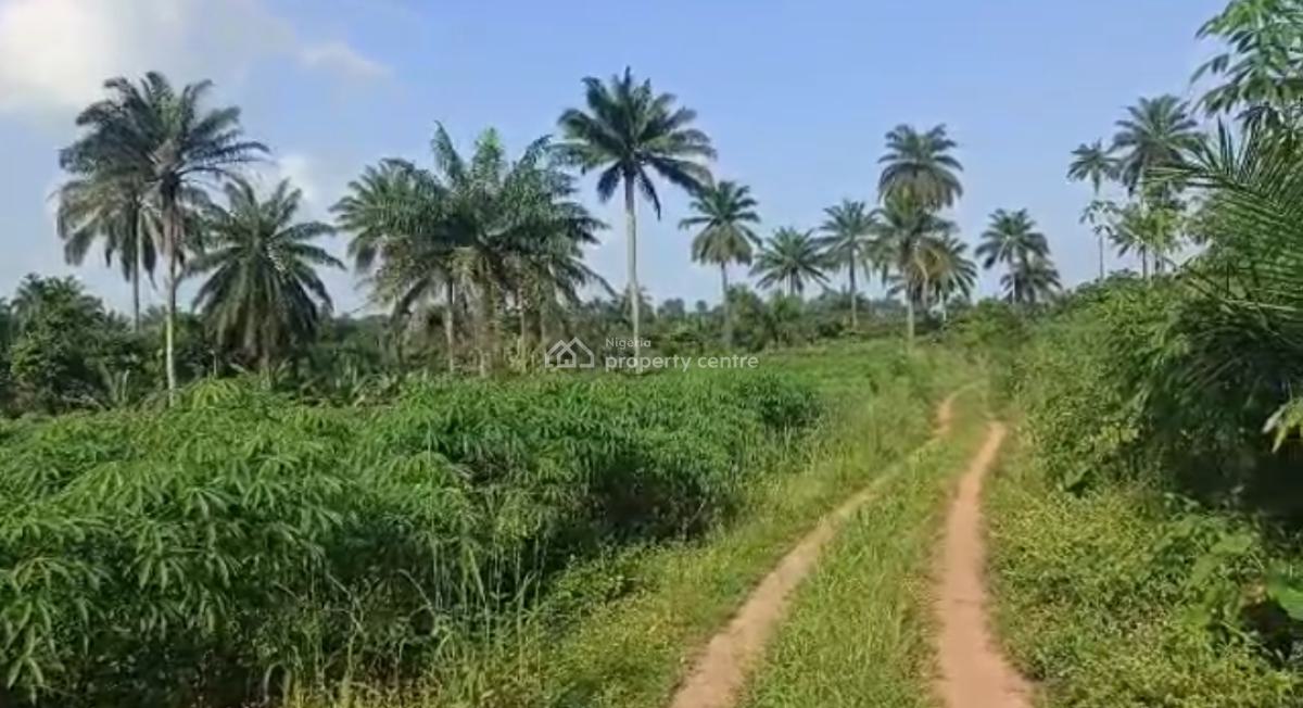 Agricultural Land, Peace Farm Estate, Owode, Obafemi Owode, Ogun, Commercial Land for Sale