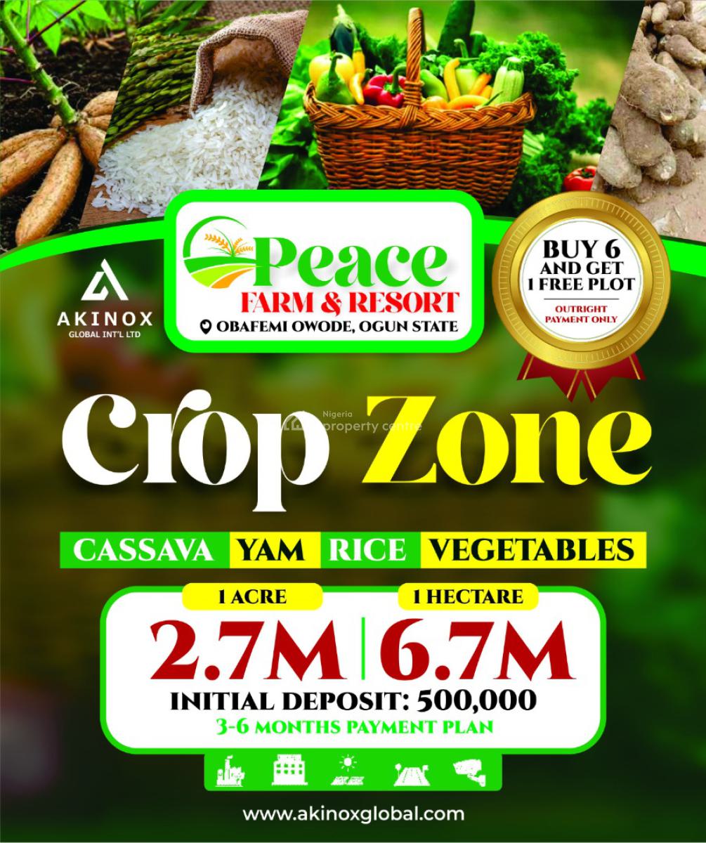 Agricultural Land, Peace Farm Estate, Owode, Obafemi Owode, Ogun, Commercial Land for Sale