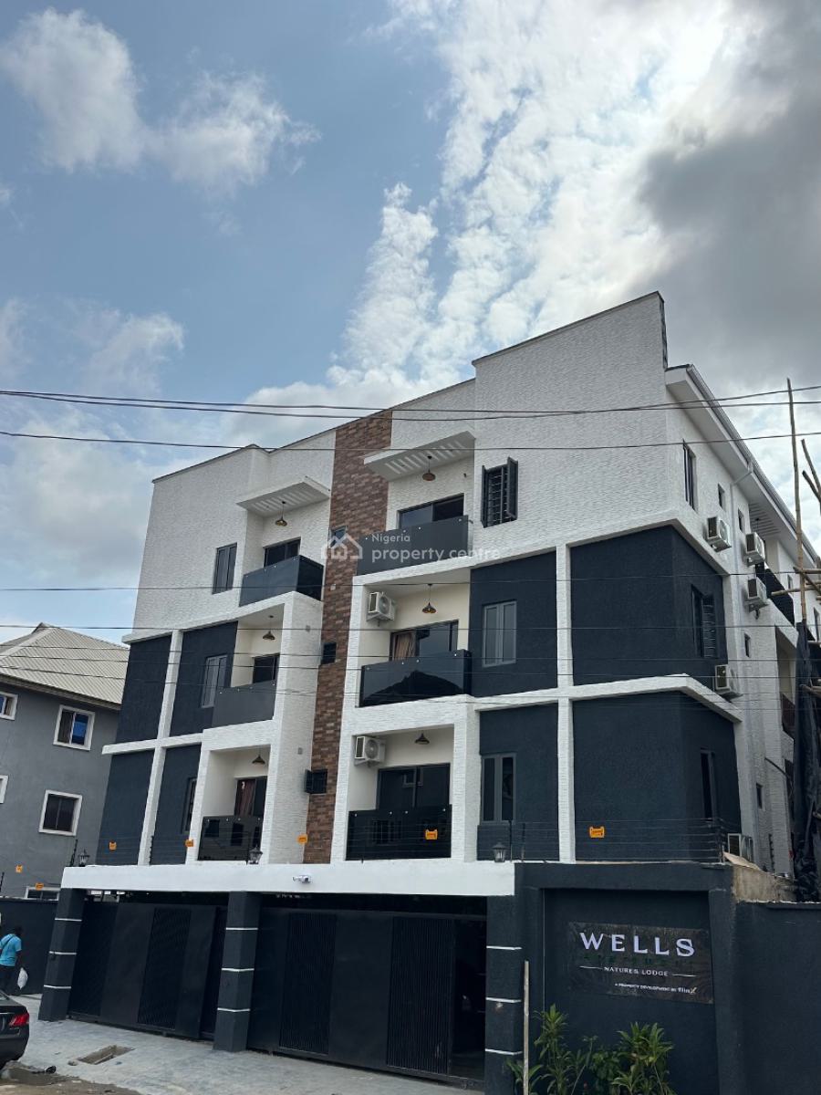 Earn Guaranteed 1 Million Monthly From This Serviced Apartment, Surulere, Lagos, Mini Flat (room and Parlour) for Sale