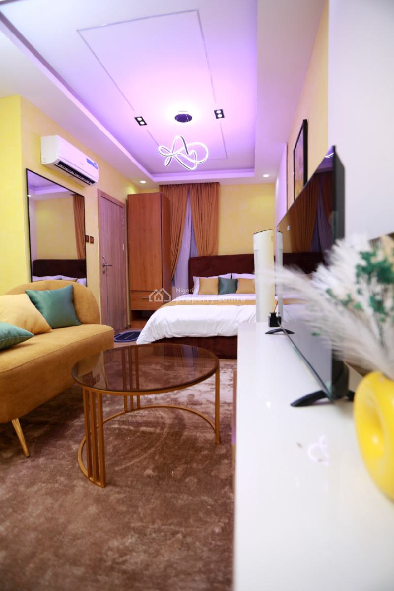 Earn Guaranteed 1 Million Monthly From This Serviced Apartment, Surulere, Lagos, Mini Flat (room and Parlour) for Sale