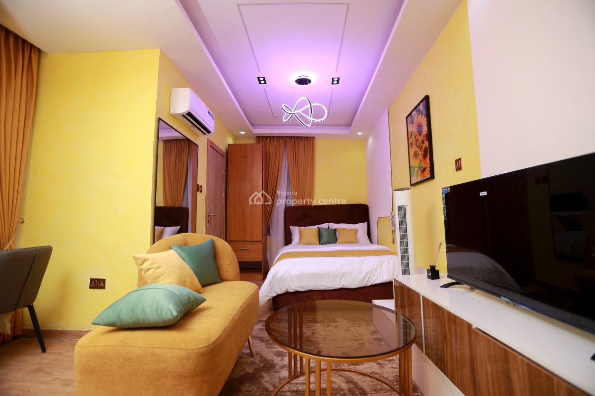 Earn Guaranteed 1 Million Monthly From This Serviced Apartment, Surulere, Lagos, Mini Flat (room and Parlour) for Sale