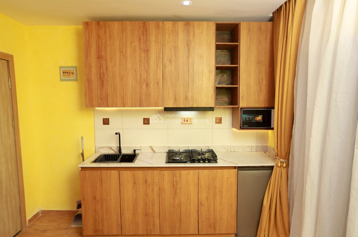 Earn Guaranteed 1 Million Monthly From This Serviced Apartment, Surulere, Lagos, Mini Flat (room and Parlour) for Sale