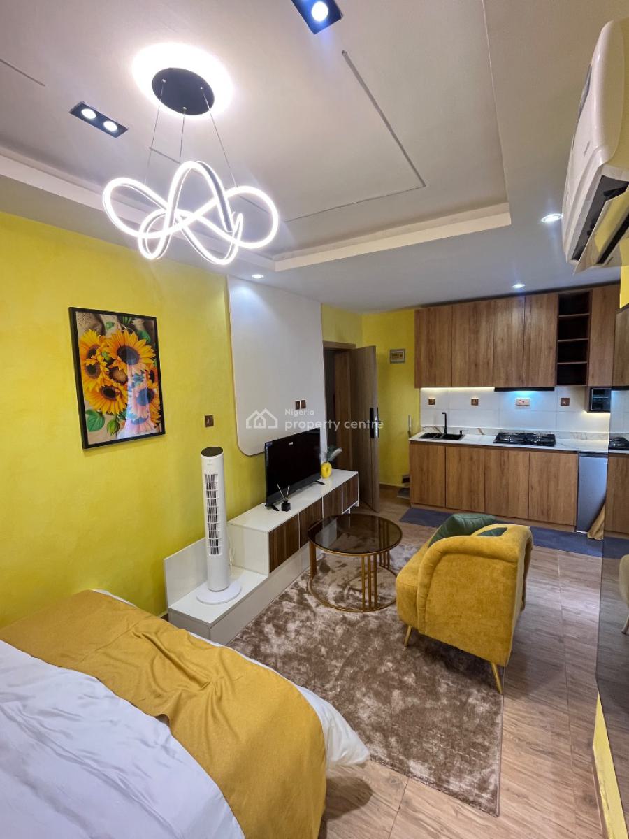 Premium Investment Apartment with Reliable Monthly Cashflow., Off Ogunlana Drive, Surulere, Lagos, Flat / Apartment for Sale