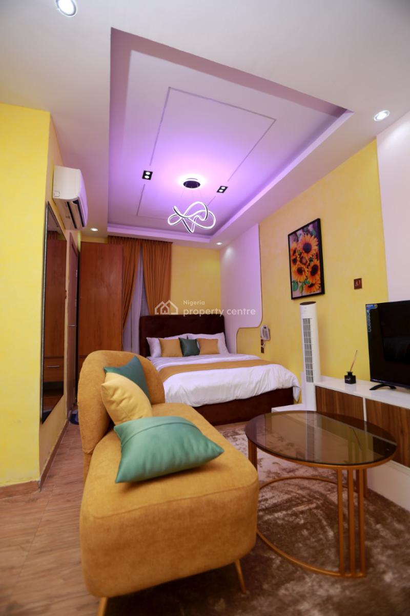 Own a Slot in a High Income Generating Apartment, Surulere, Lagos, Flat / Apartment for Sale