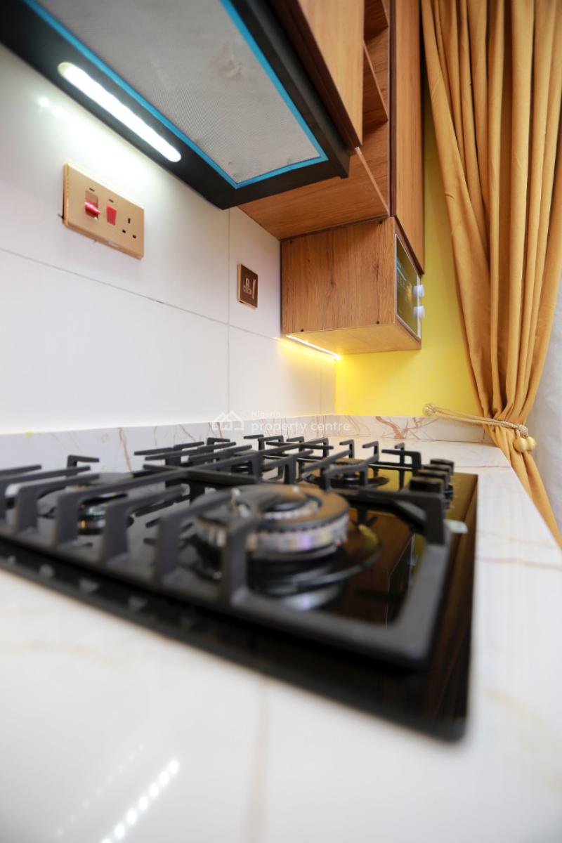 Own a Slot in a High Income Generating Apartment, Surulere, Lagos, Flat / Apartment for Sale